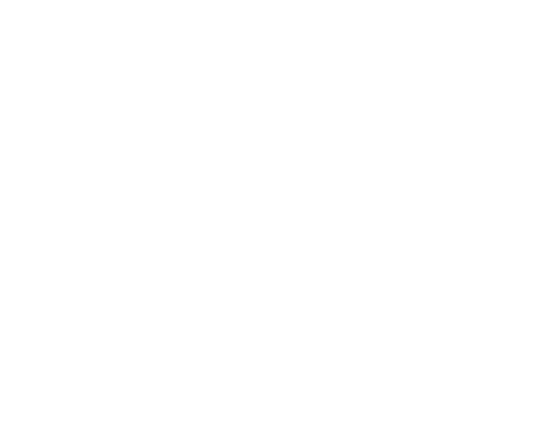 Life Presentations